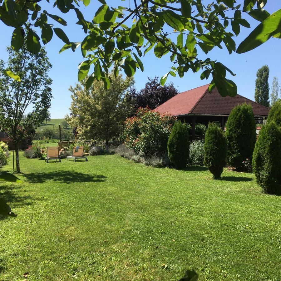 Domaine De La Mance - Maisonnette Avec Cheminee Vitrey-sur-Mance Esterno foto
