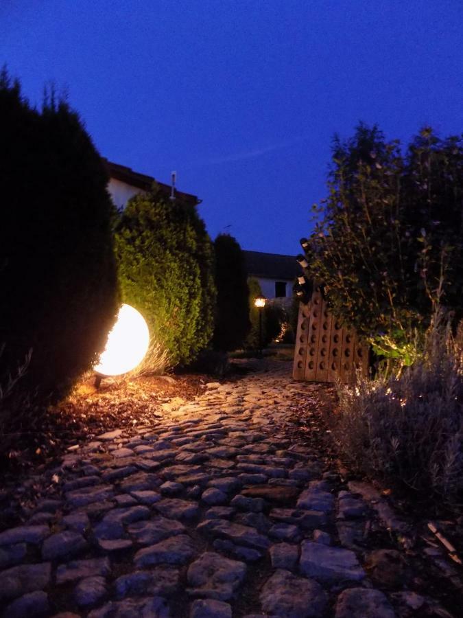 Domaine De La Mance - Maisonnette Avec Cheminee Vitrey-sur-Mance Esterno foto