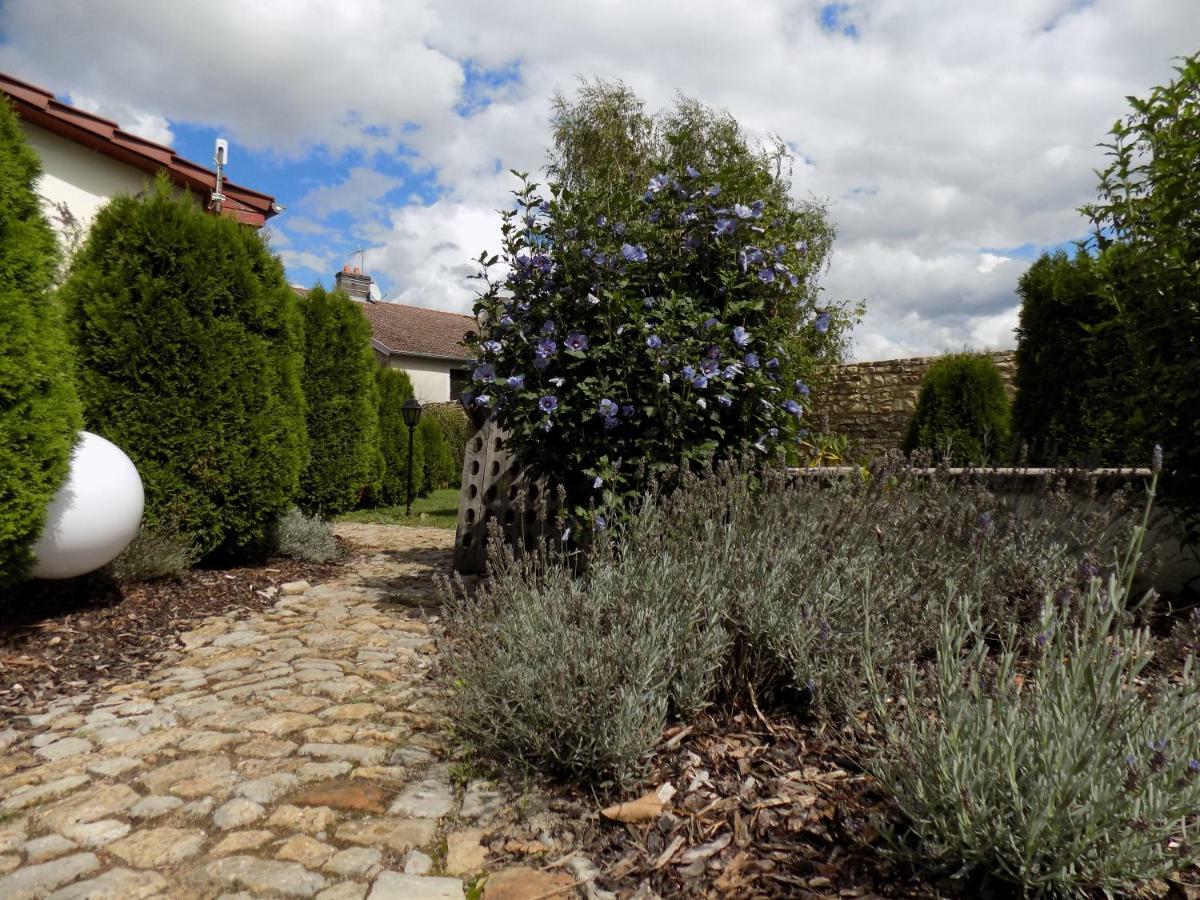 Domaine De La Mance - Maisonnette Avec Cheminee Vitrey-sur-Mance Esterno foto