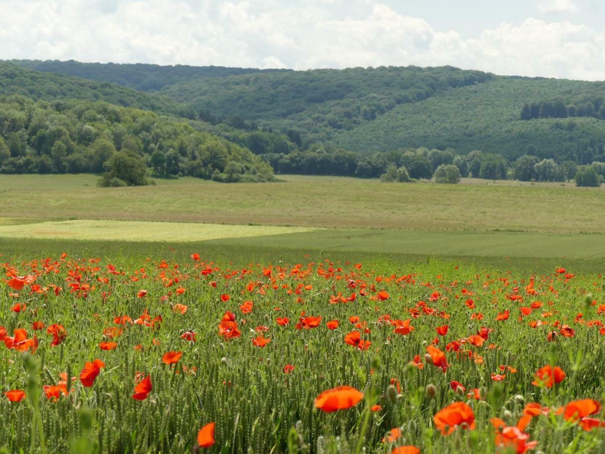 Domaine De La Mance - Maisonnette Avec Cheminee Vitrey-sur-Mance Esterno foto